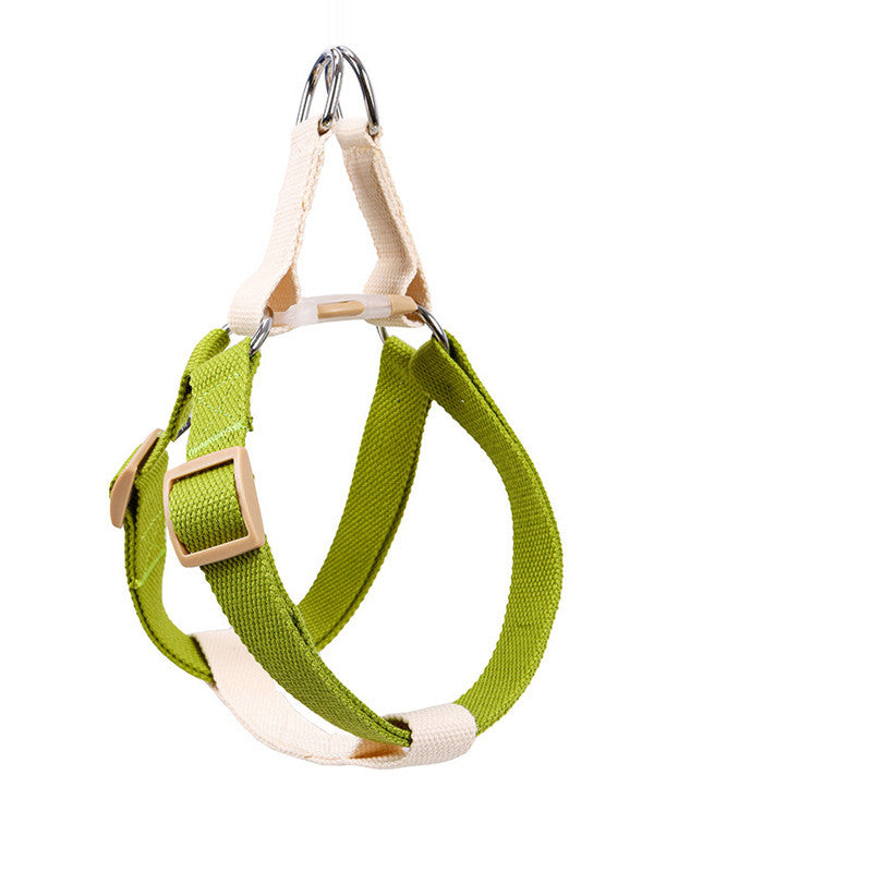 Dog Leash for Medium & Large Dogs - green