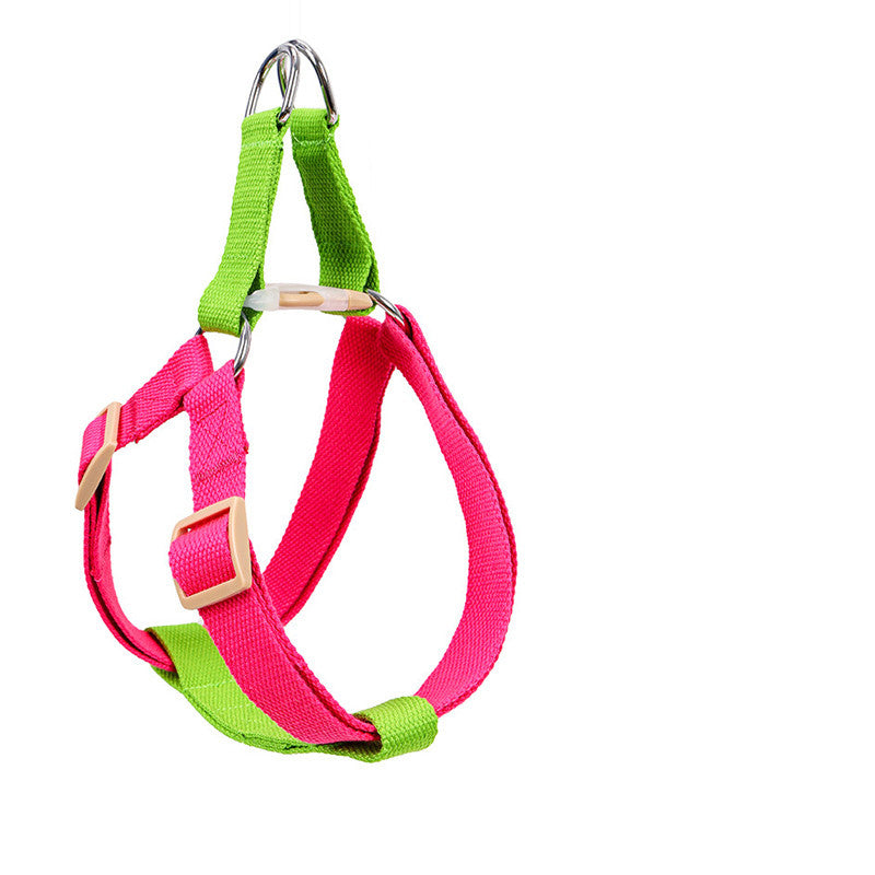 Dog Leash for Medium & Large Dogs - green rose red