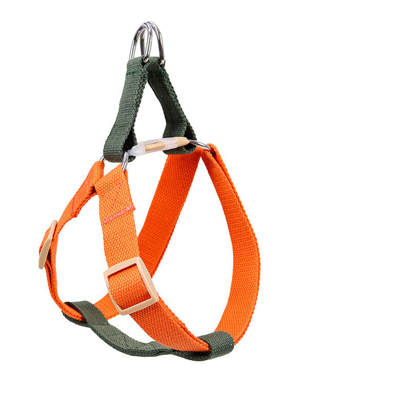 Dog Leash for Medium & Large Dogs - orange