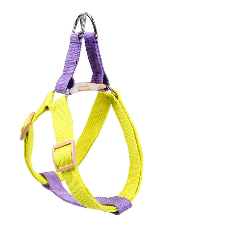 Dog Leash for Medium & Large Dogs - purple yellow