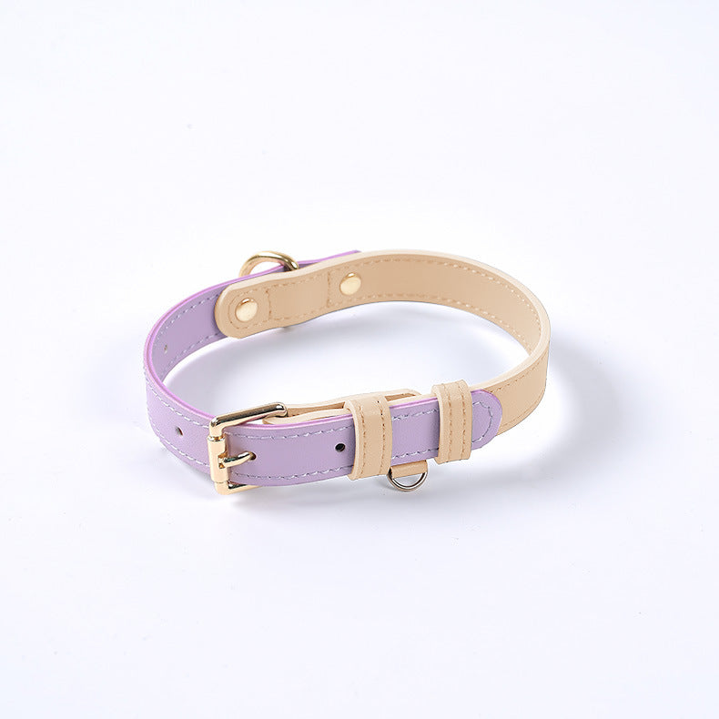 Genuine Leather Dog Collar purple