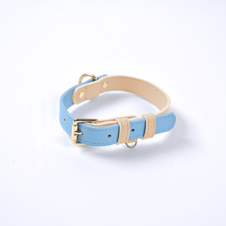 Genuine Leather Dog Collar sky blue