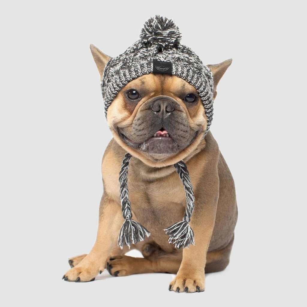 Winter Fashion Dog Hat Windproof Fluffy Knitted Polar Pom Hat - buy tested dog accessories from happypawsco