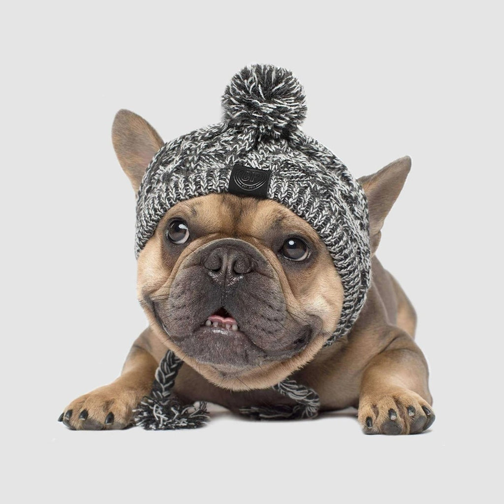 Winter Fashion Dog Hat Windproof Fluffy Knitted Polar Pom Hat - buy tested dog accessories from happypawsco